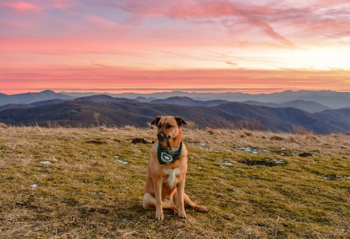 IMG_20180127_072237_104