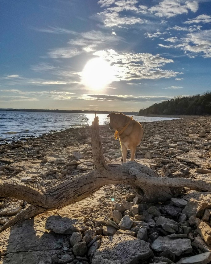 IMG_20180129_070847_736