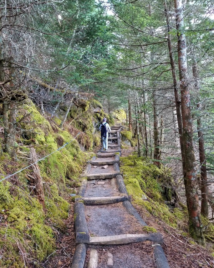 IMG_20180211_080021_869