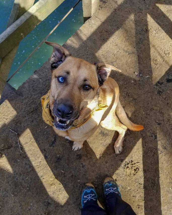 IMG_20180220_071132_290