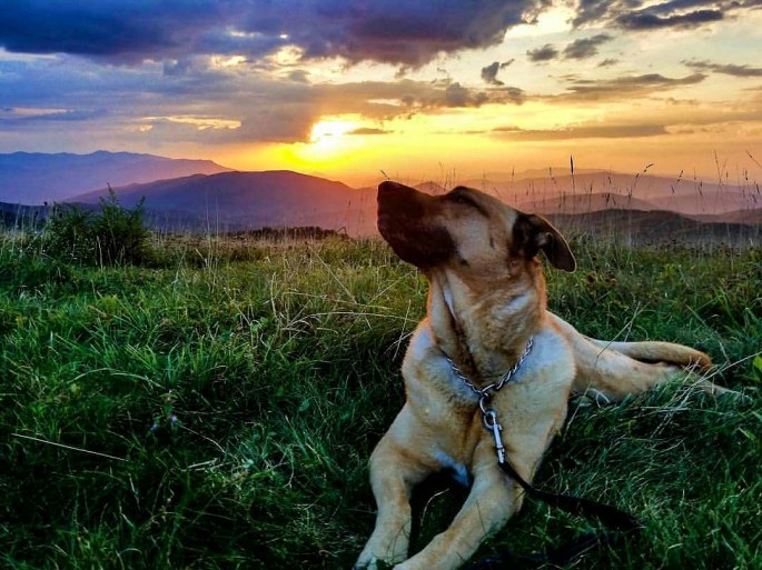 IMG_20180301_065259_908