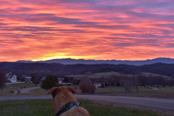 IMG_20180321_073005_491